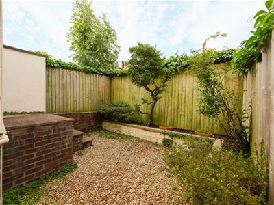 Picture 11